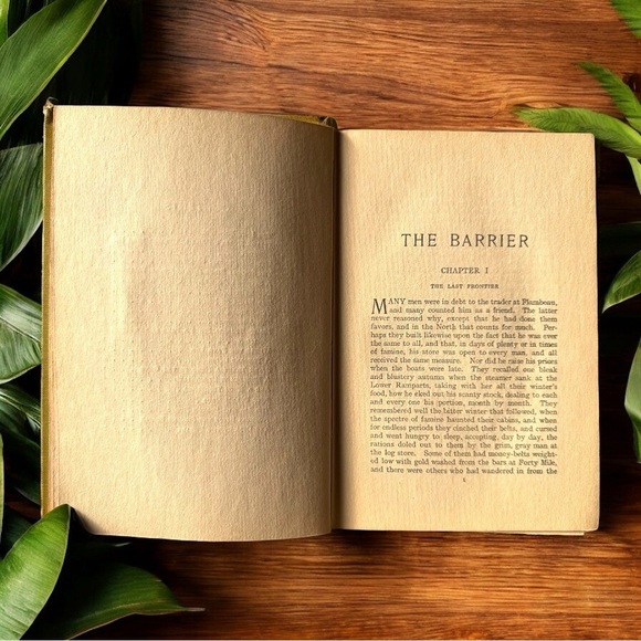 VINTAGE 1908 The Barrier by Rex Beach - Illustrated - A.L. Burt Company - Picture 7 of 12